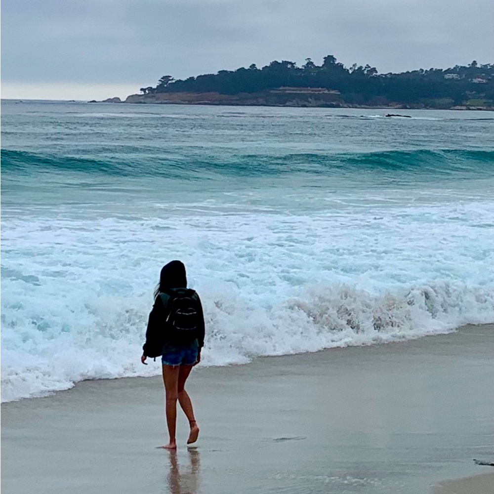 Meet your Posher, Sofia